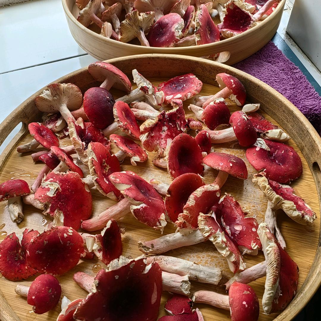 心不动 则不痛β