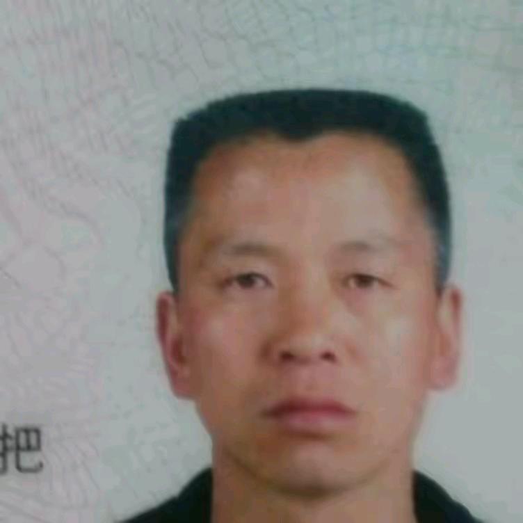 春天的玫瑰