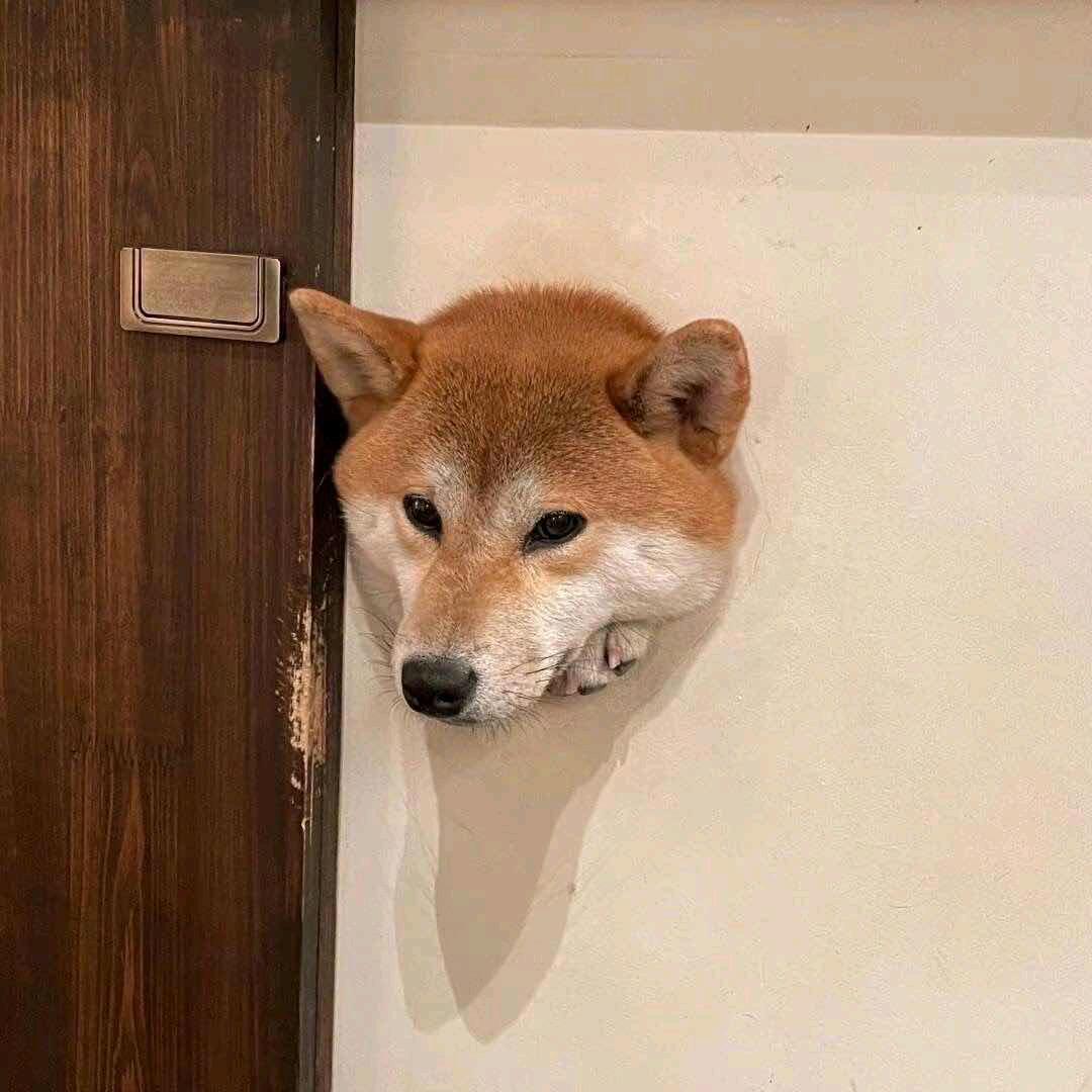 你相信光吗
