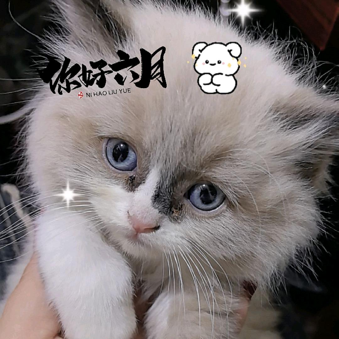 追忆