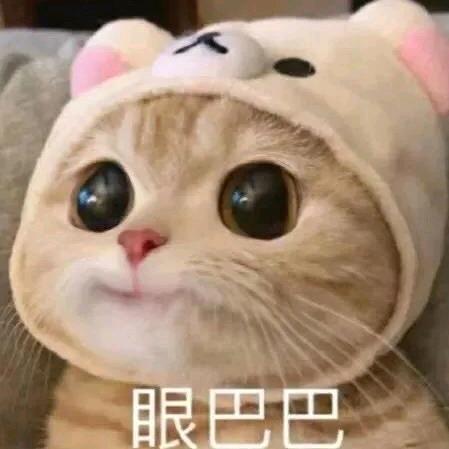 dfyr