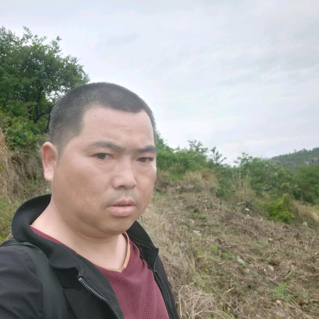 贵州小军哥（单身）