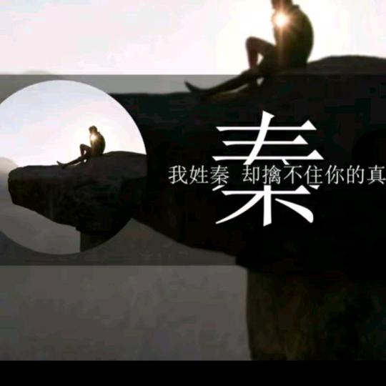 秦伟伟