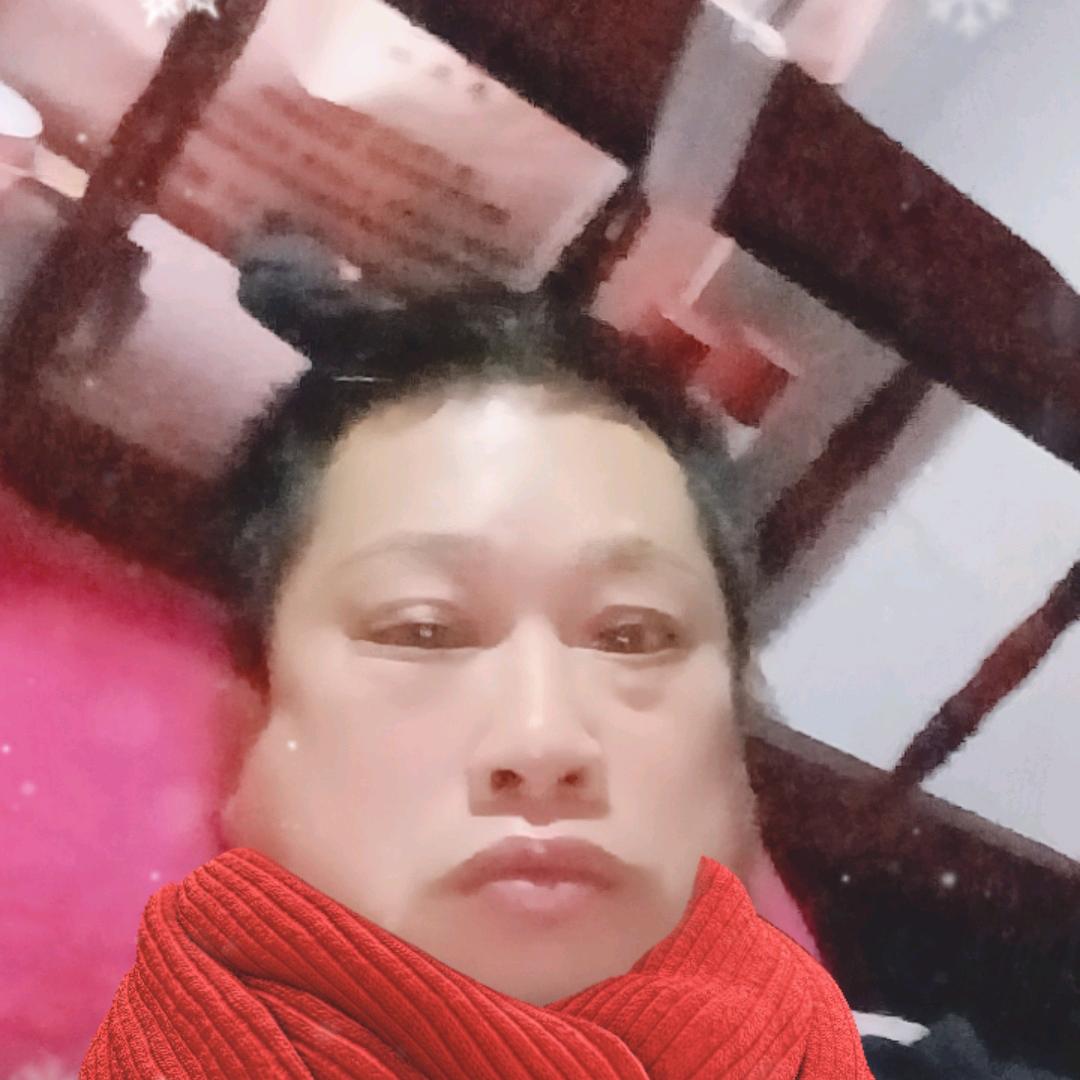 夏金和