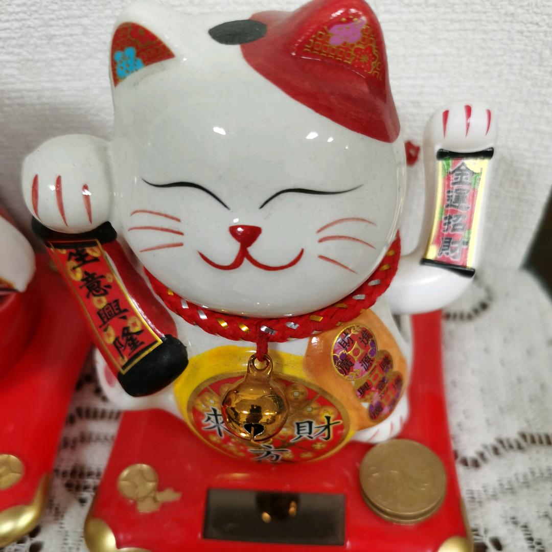 毛里求斯🇲🇺