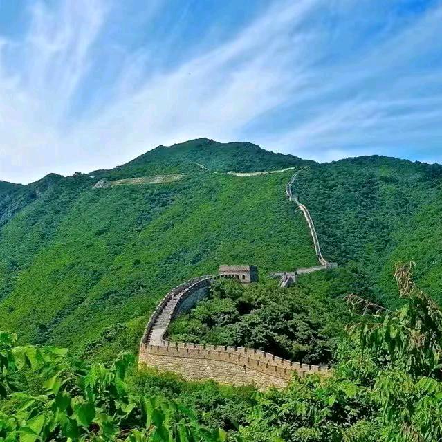 小阿龙