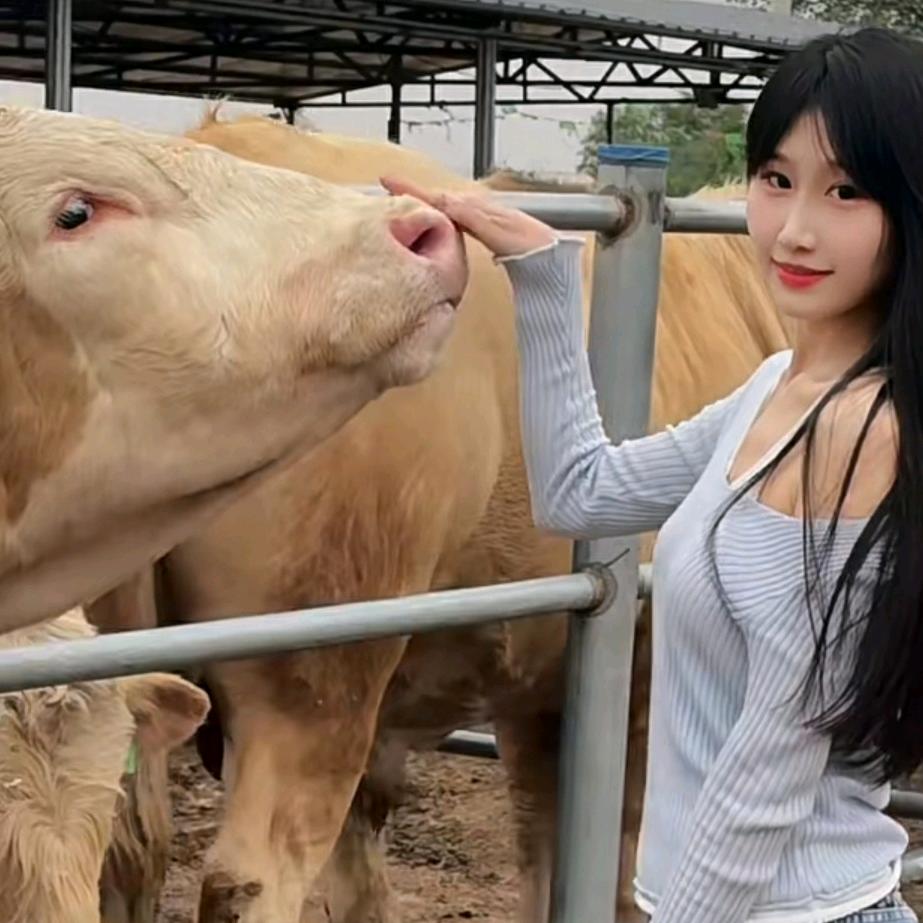 嘉嘉养殖