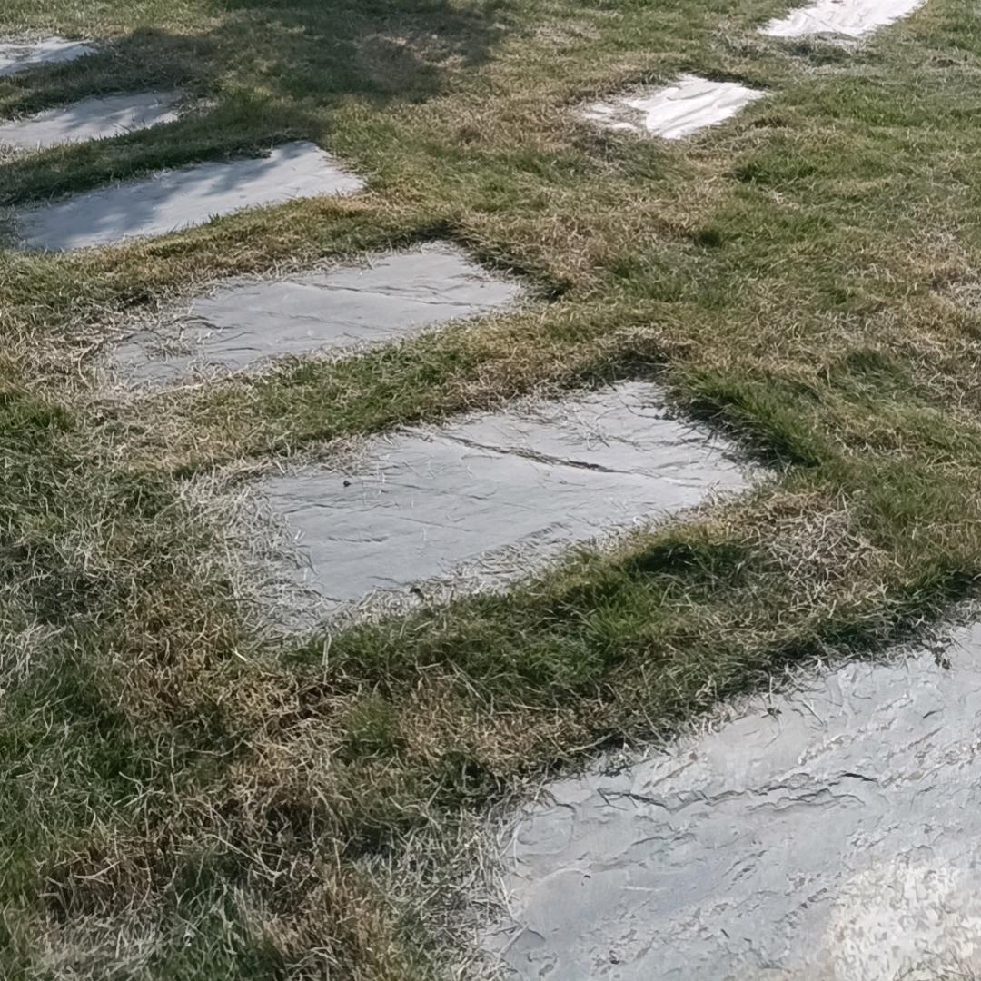 游牧时光