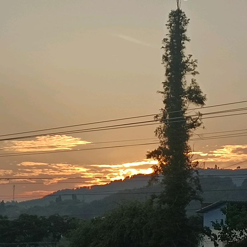 浮沉