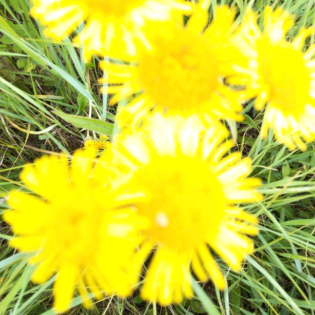 🤦‍♀️🤦‍♀️