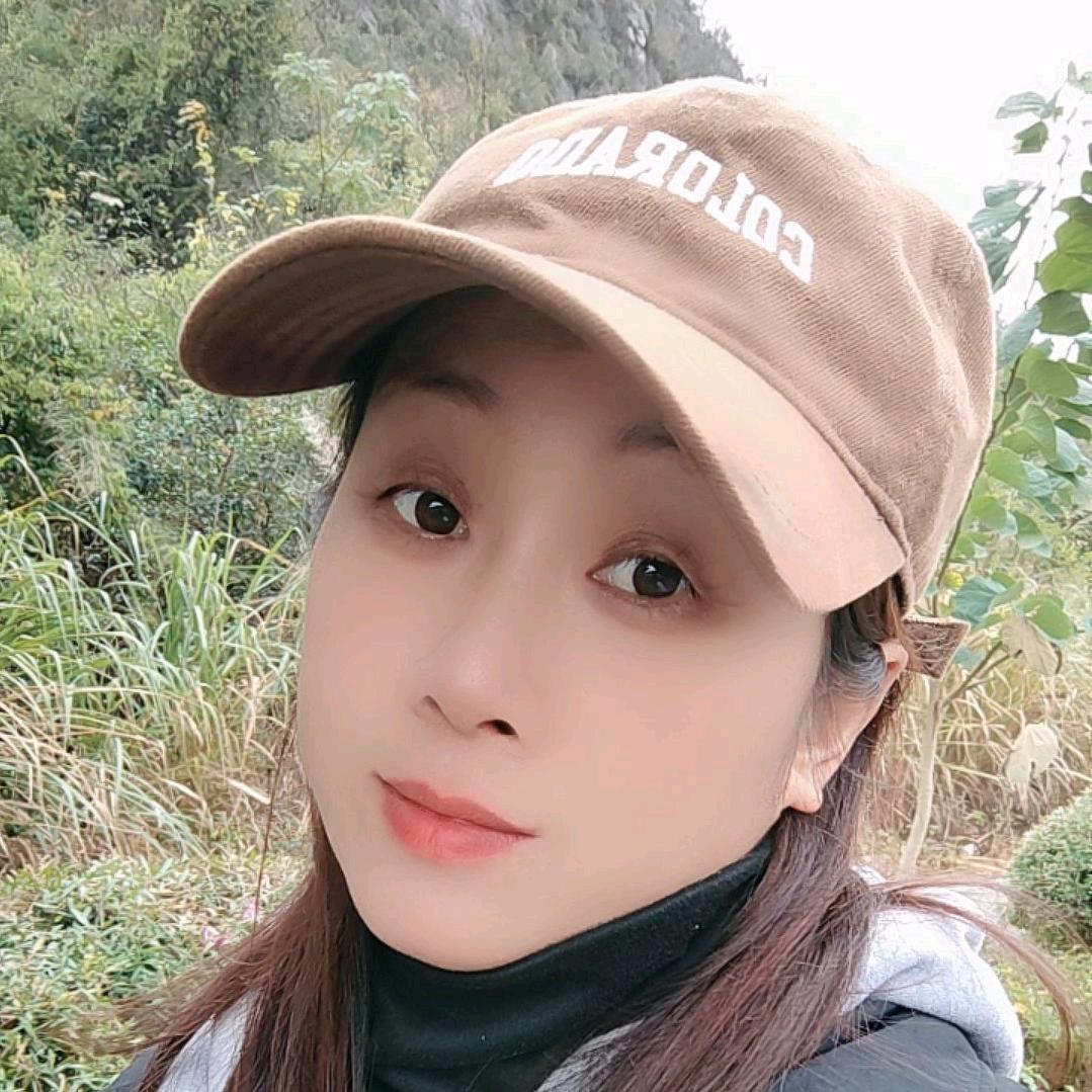 苦丁茶