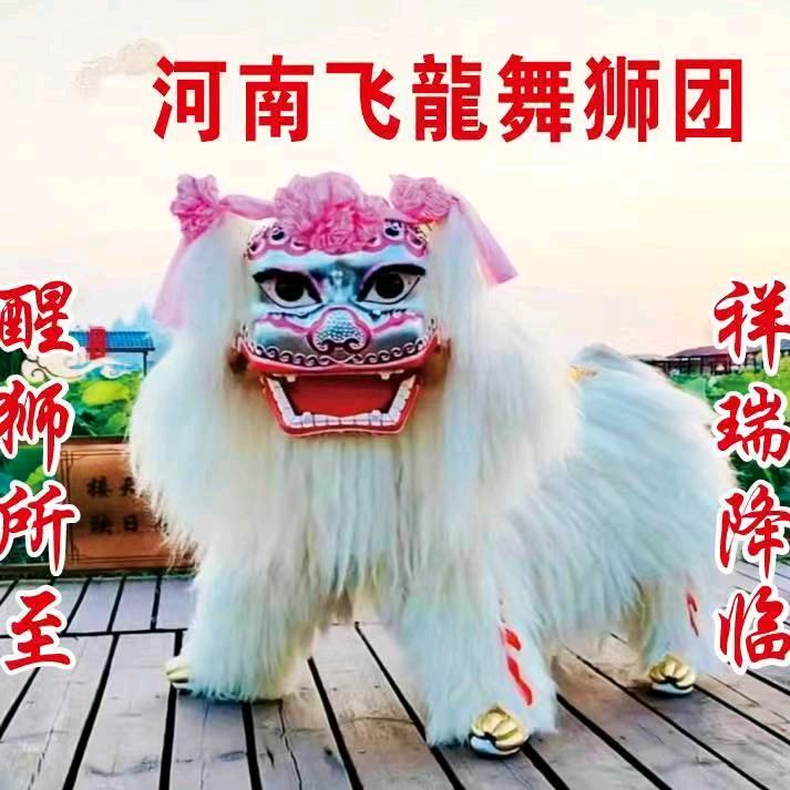 河南飞龍舞狮团（传统祭拜，全国接演）