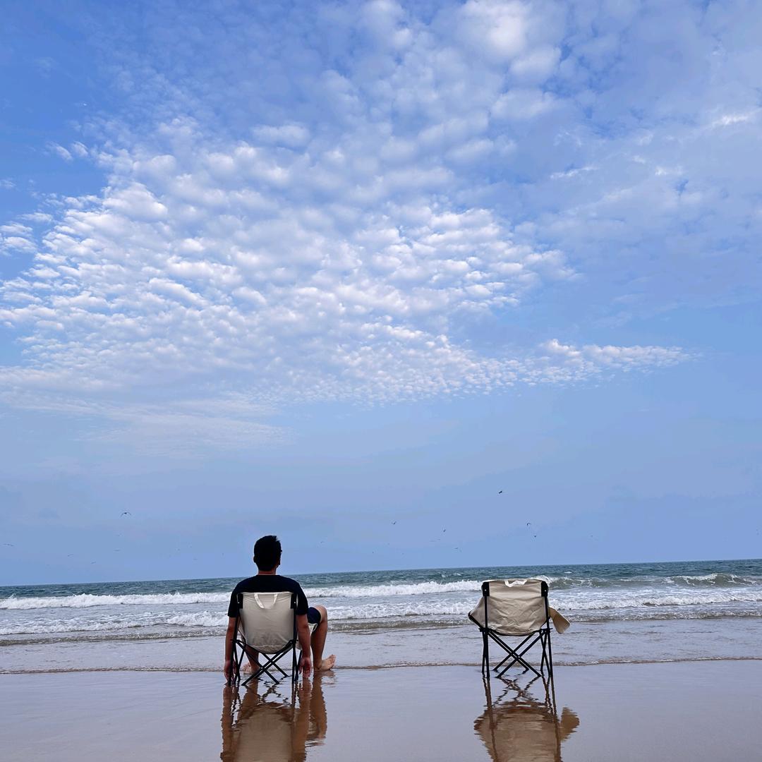 金铲铲 小强（最强阵容分享）