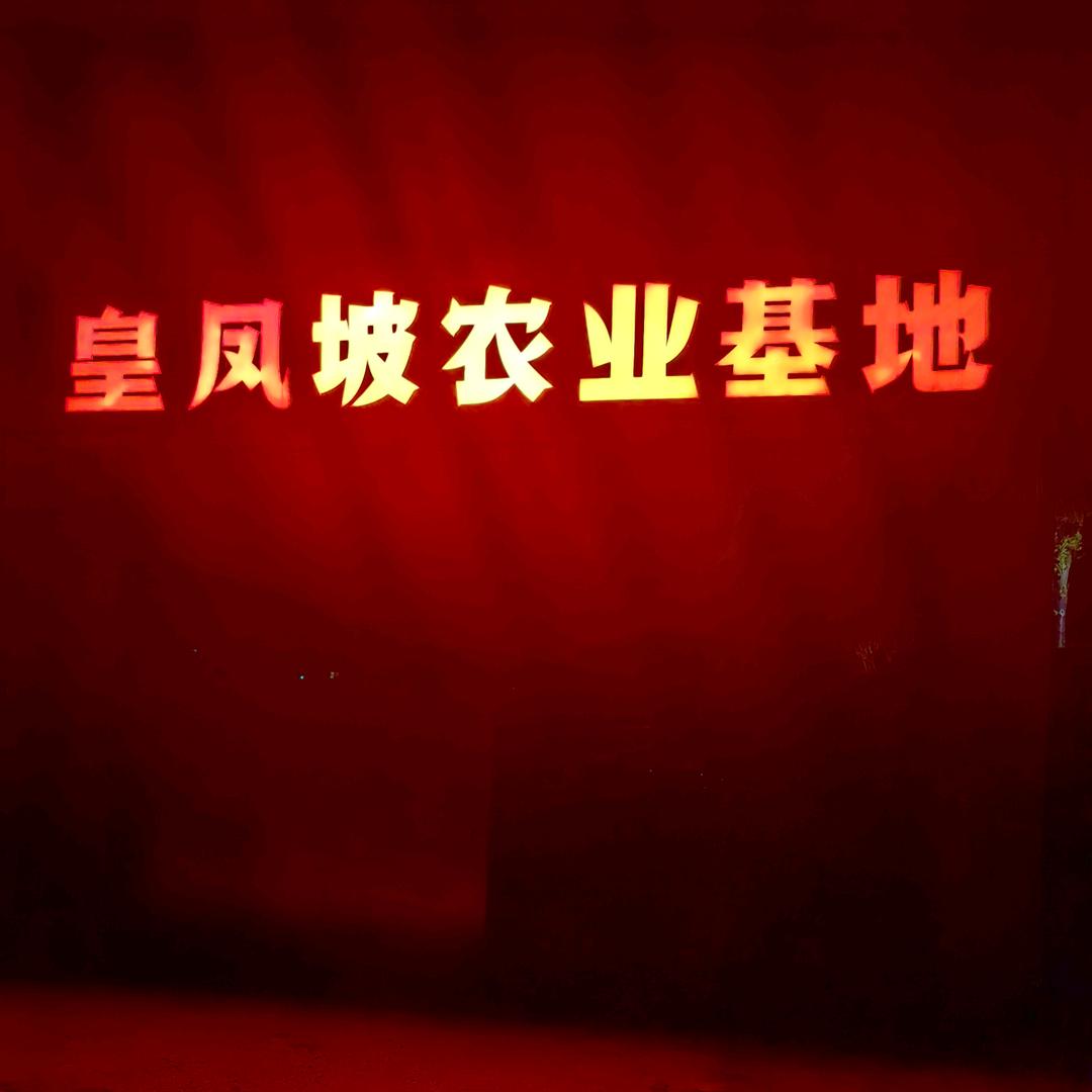 星城路亚基地