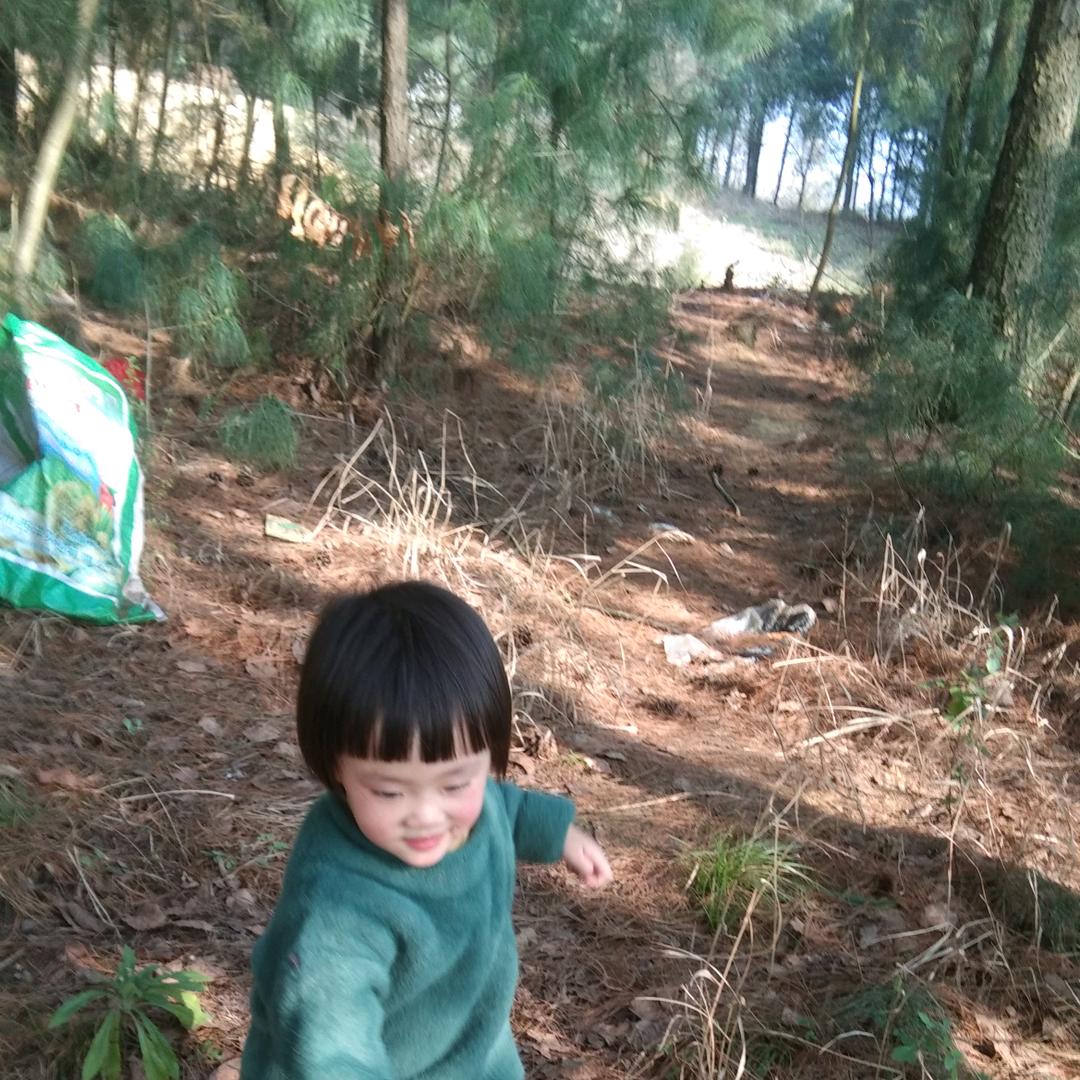 刘明贵
