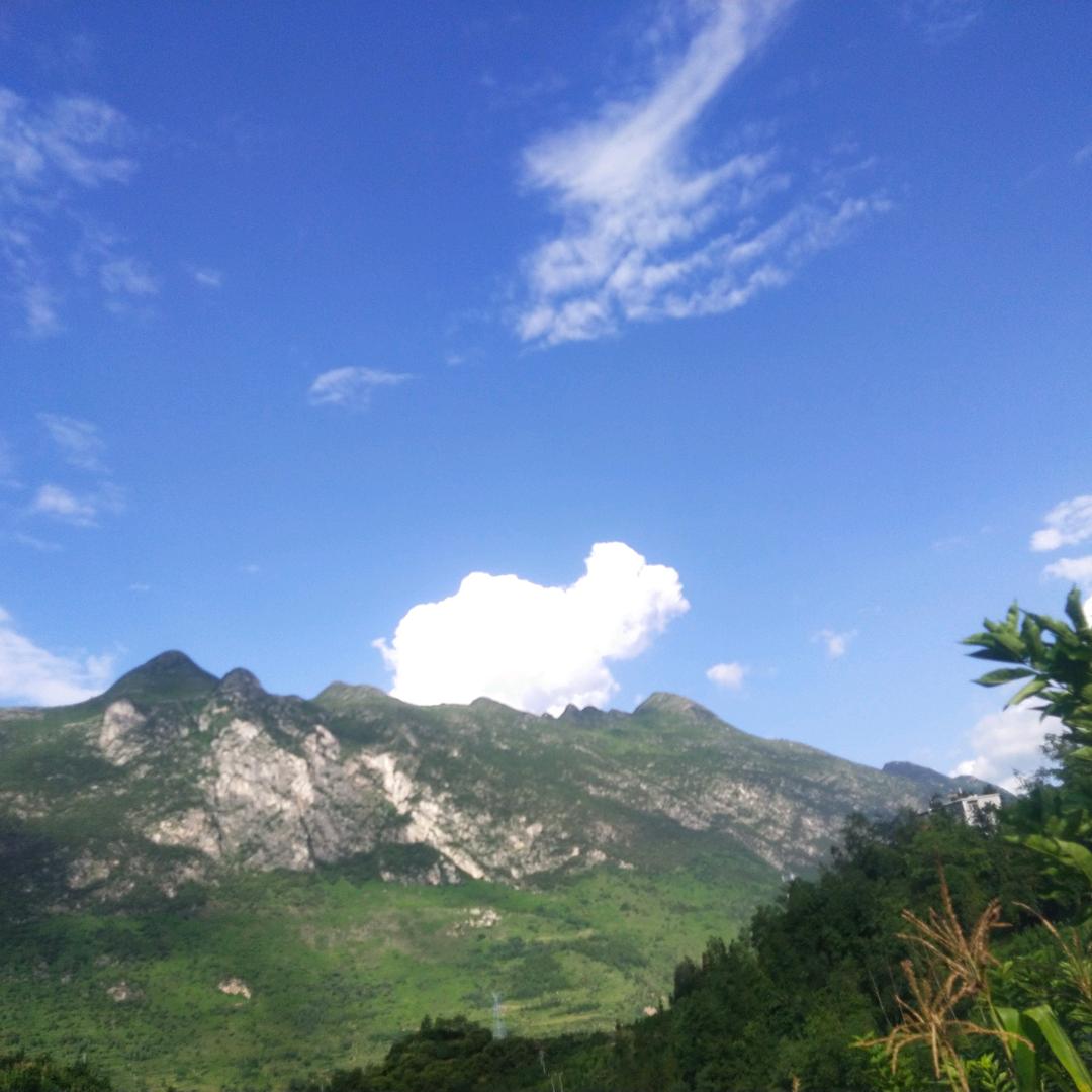 农村小杨