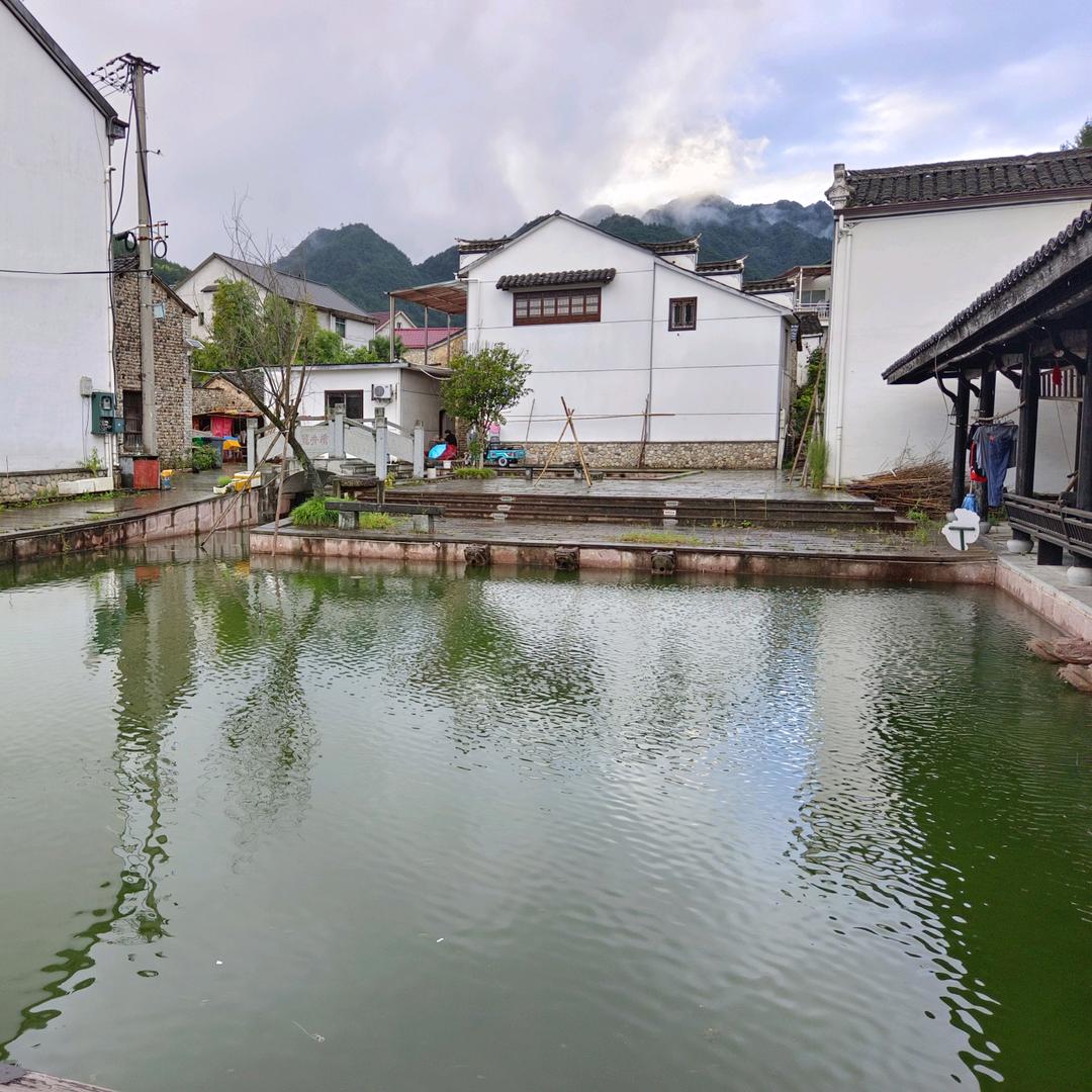 临安老郑山核桃商行