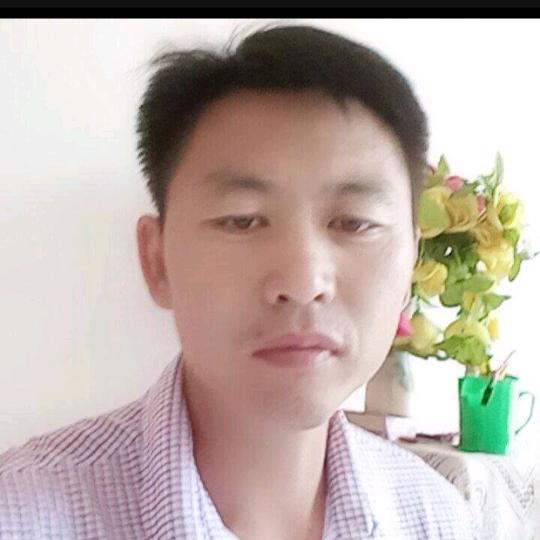 独行侠影