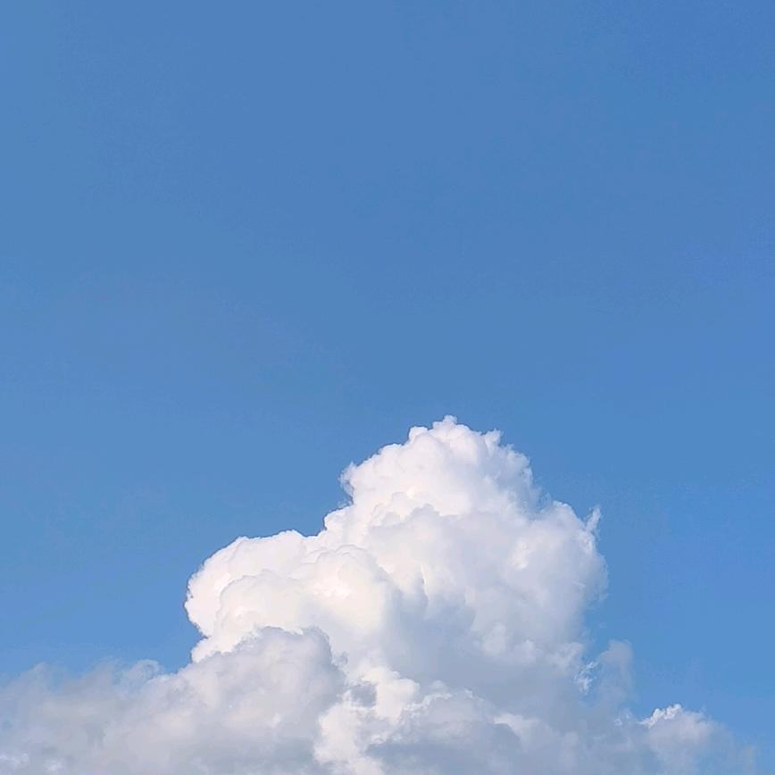 浪浪山