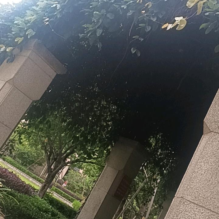 🌺满眼星陈🍒💋