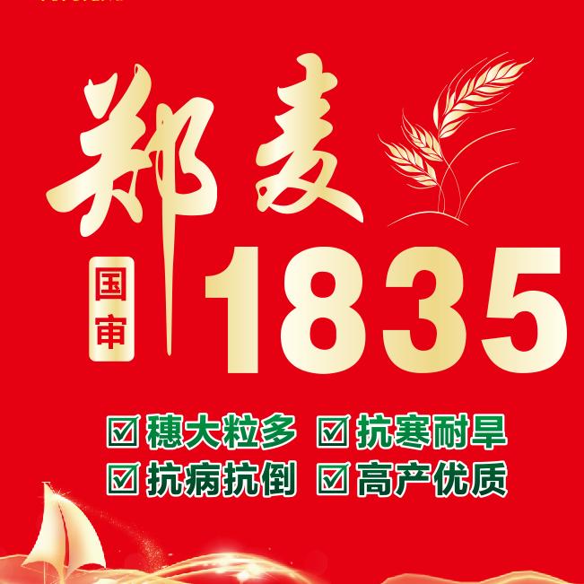 福丰种业(郑麦1835-豫园7号)