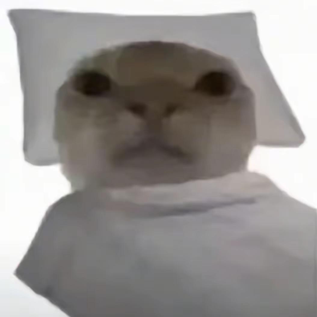 一具尸体