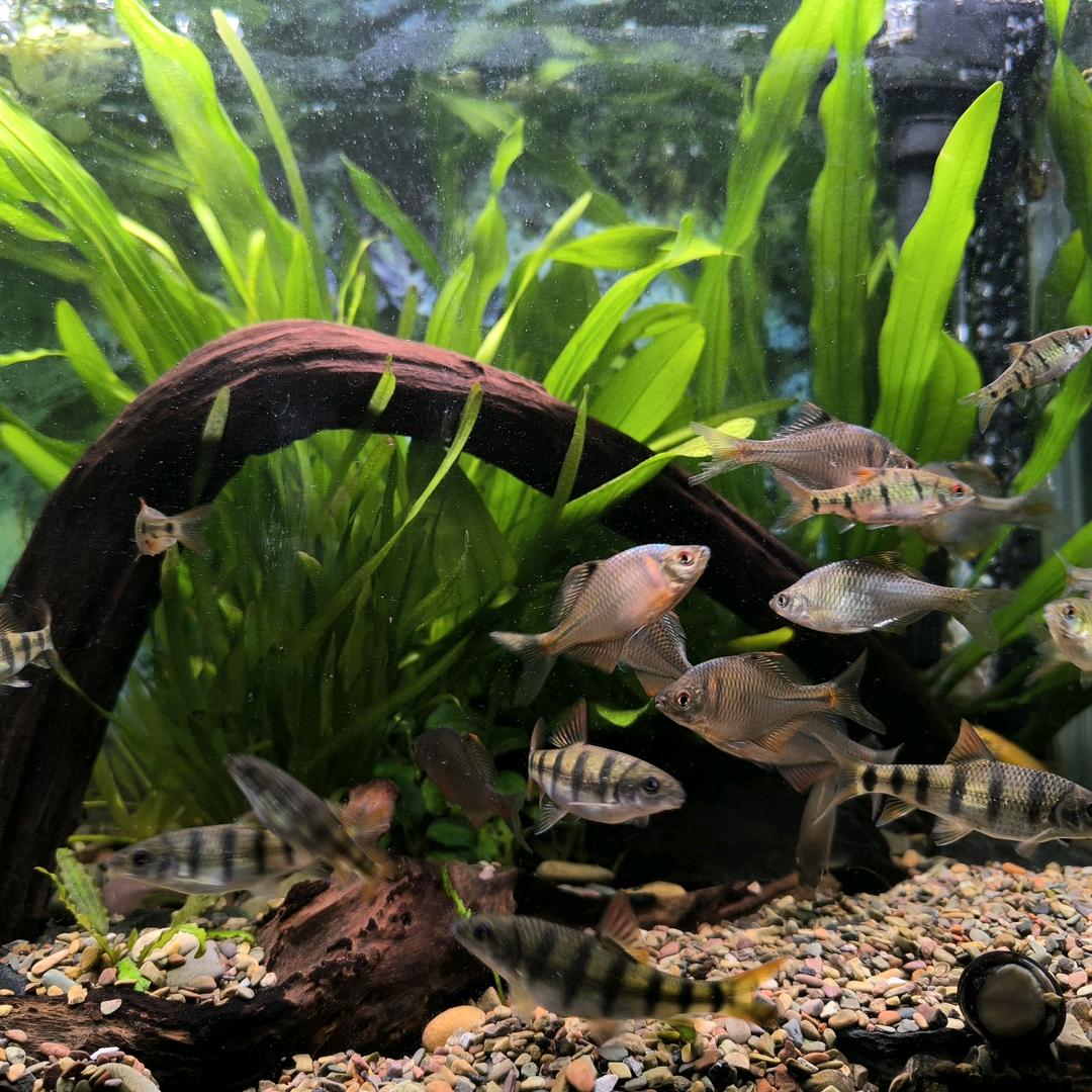 🌈喝酒爱养鱼🎣🎣