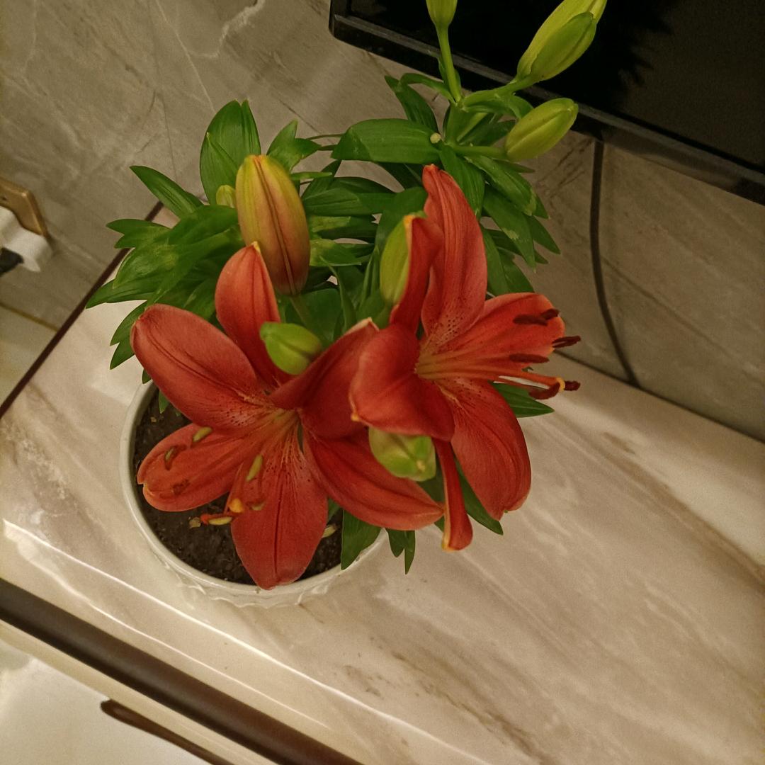 互关