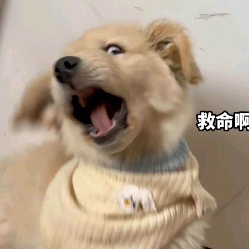 我叫阿祖你可以叫我小祖