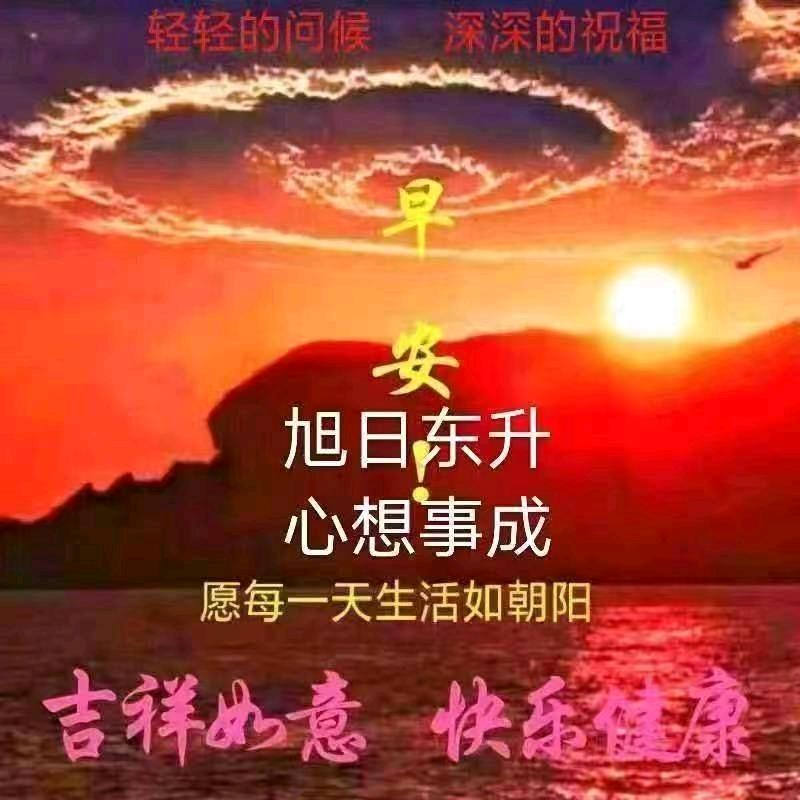 美之怡小号
