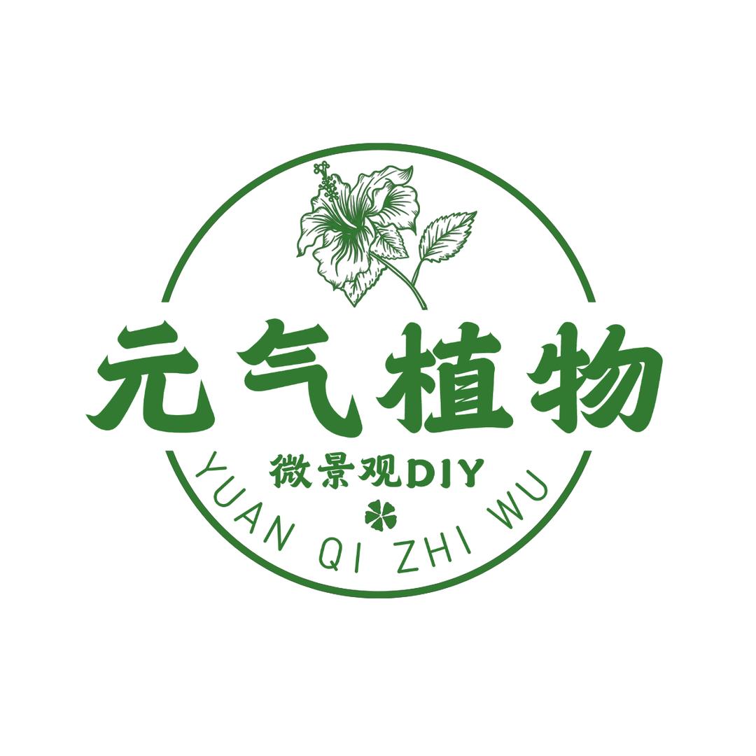元气植物宝鸡店