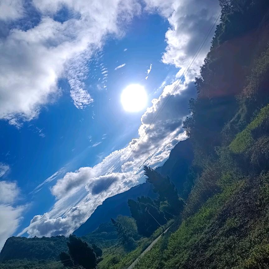 心寨