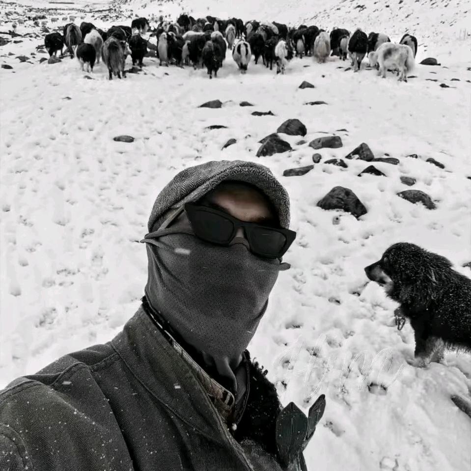 圈圈圈圈圈圈圈、