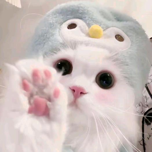 大耳朵图图👂🏻