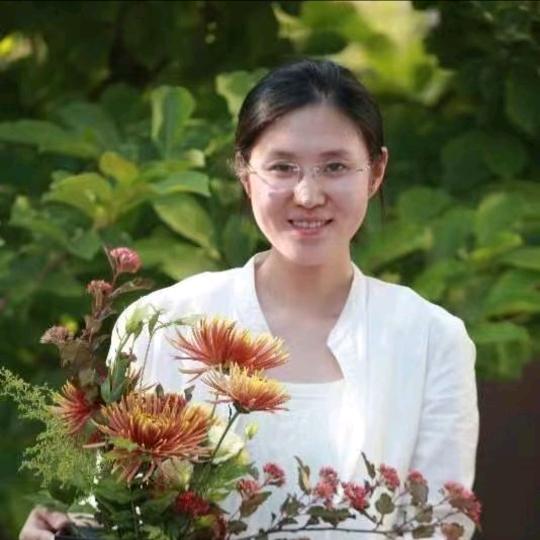 安那里婷婷