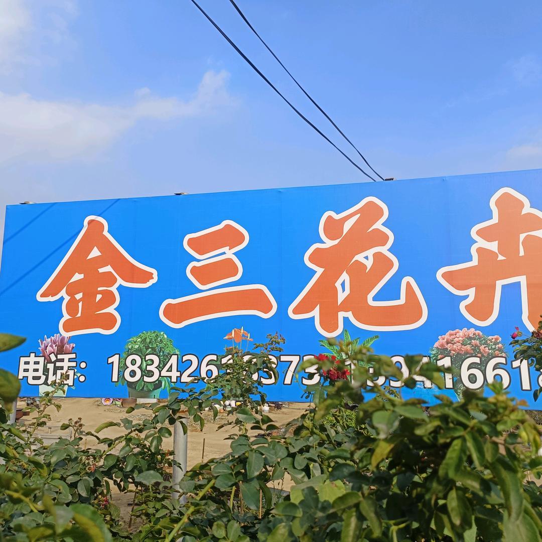 金三东北特产（小时候的味道）