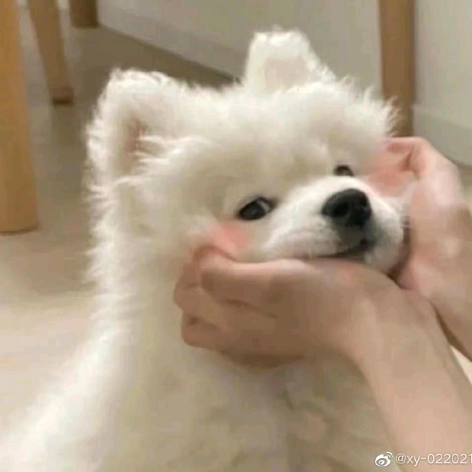 i一点点⁷⁷⁹⁹