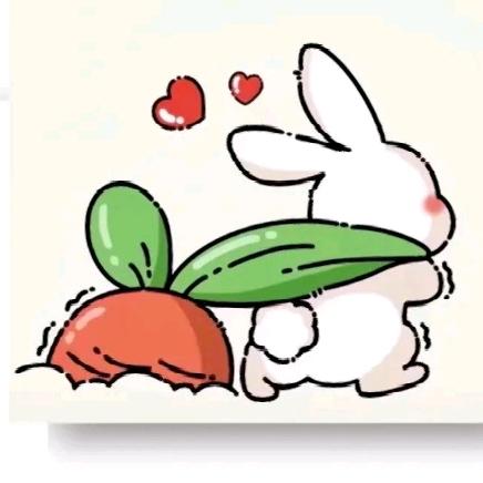 卖兔子的胡萝贝