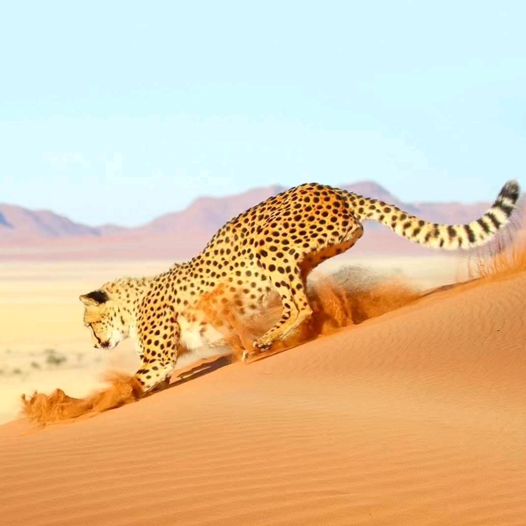 💞ღ᭄来生还相遇ঞ᭄༊=：爱