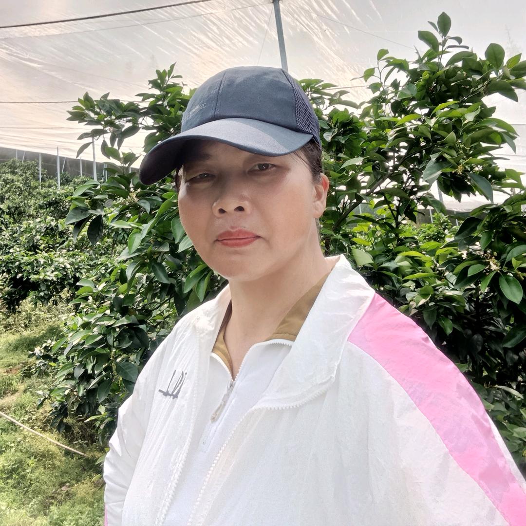 魏姐姐，(首播筹备)