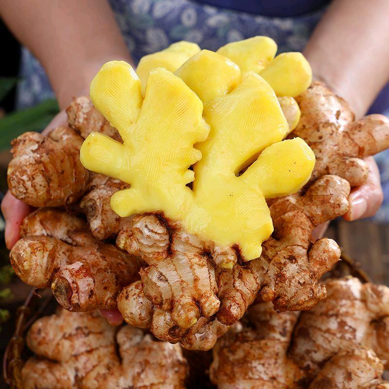 云南阿呆小黄姜