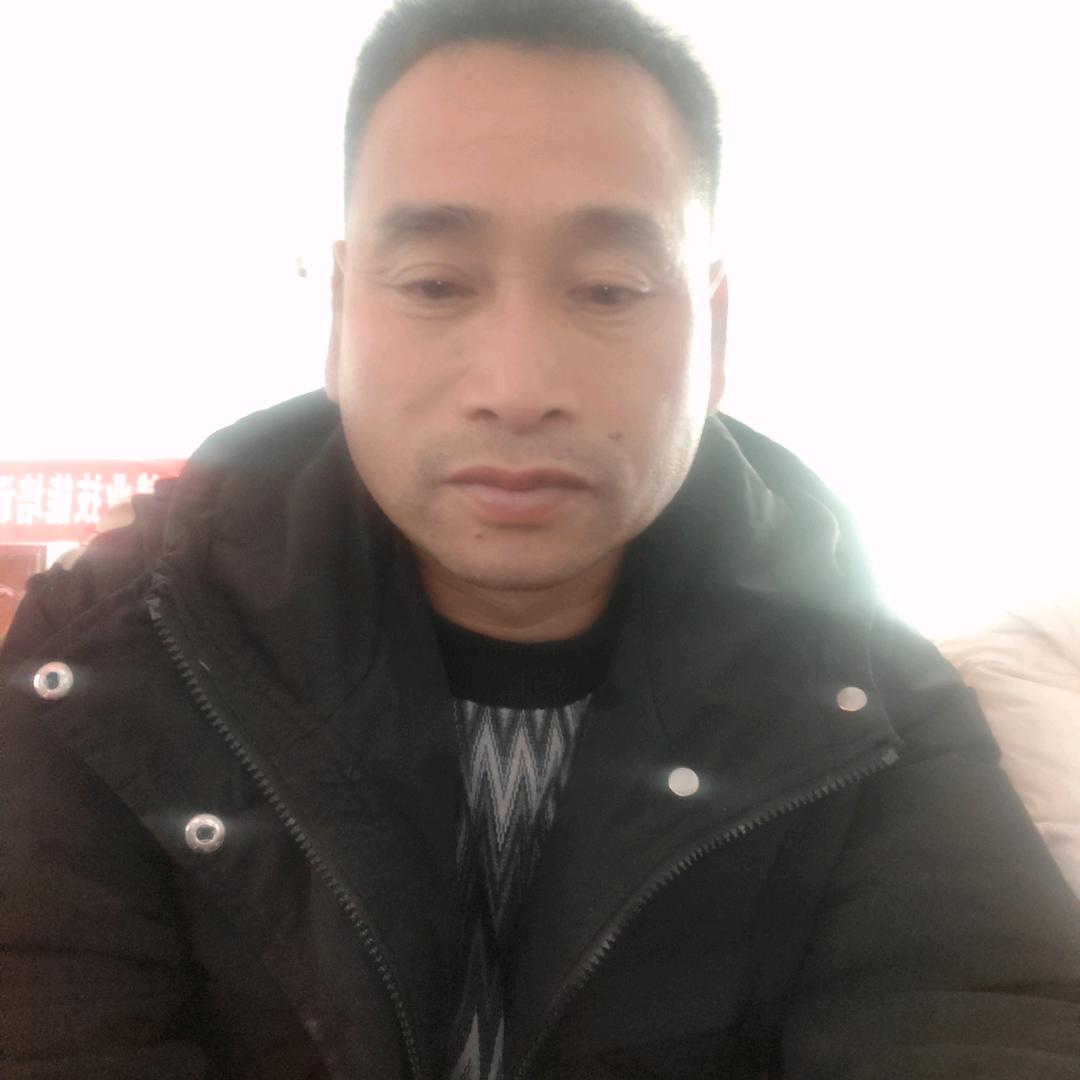 双木三石（晚不定时开播）