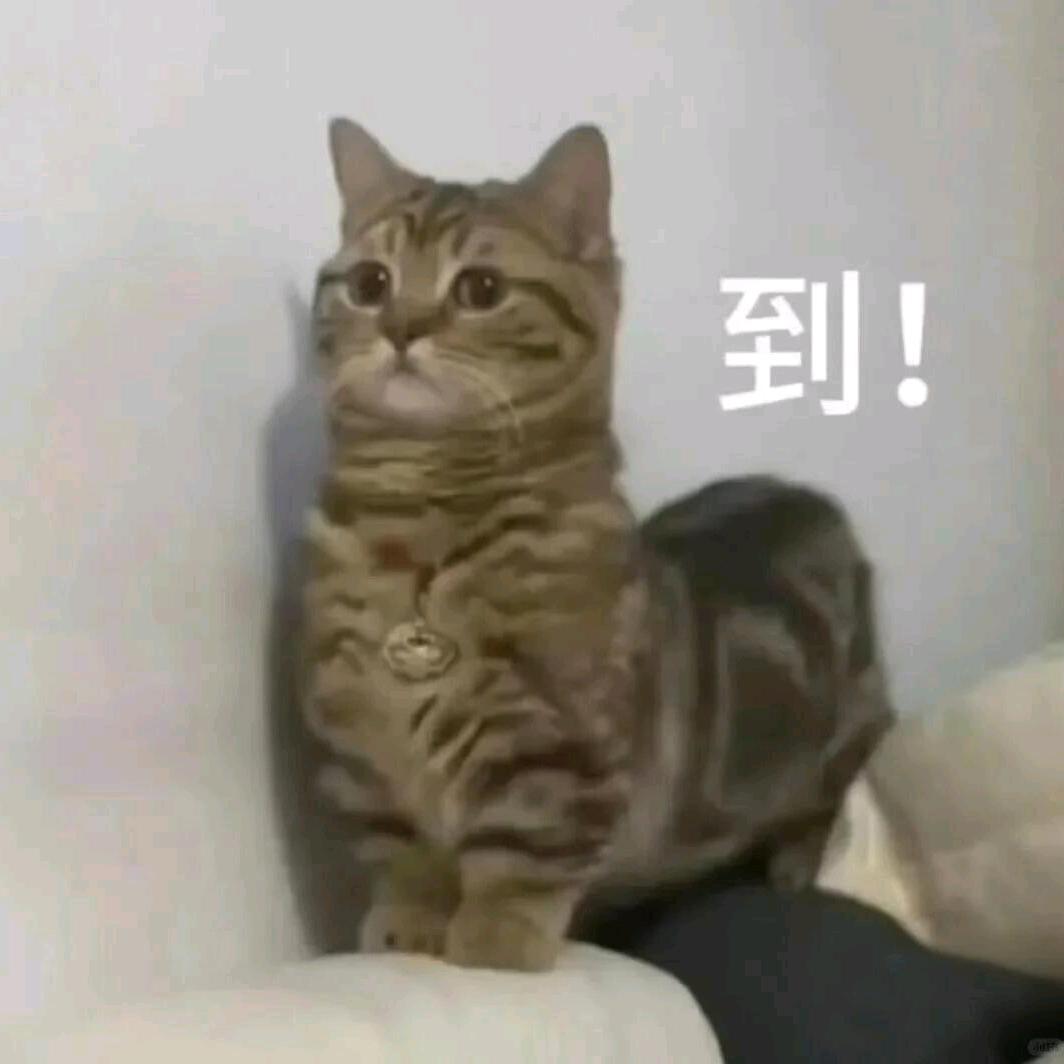 ￴￴ ￴￴￴ㅤ咸鱼醉橘猫