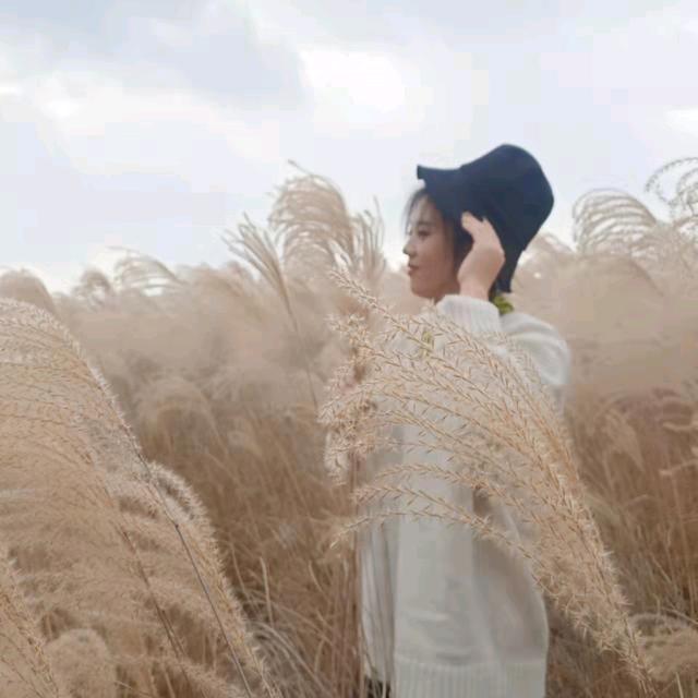 山东大妮