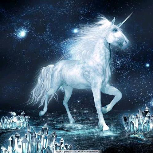 独角兽🦄️
