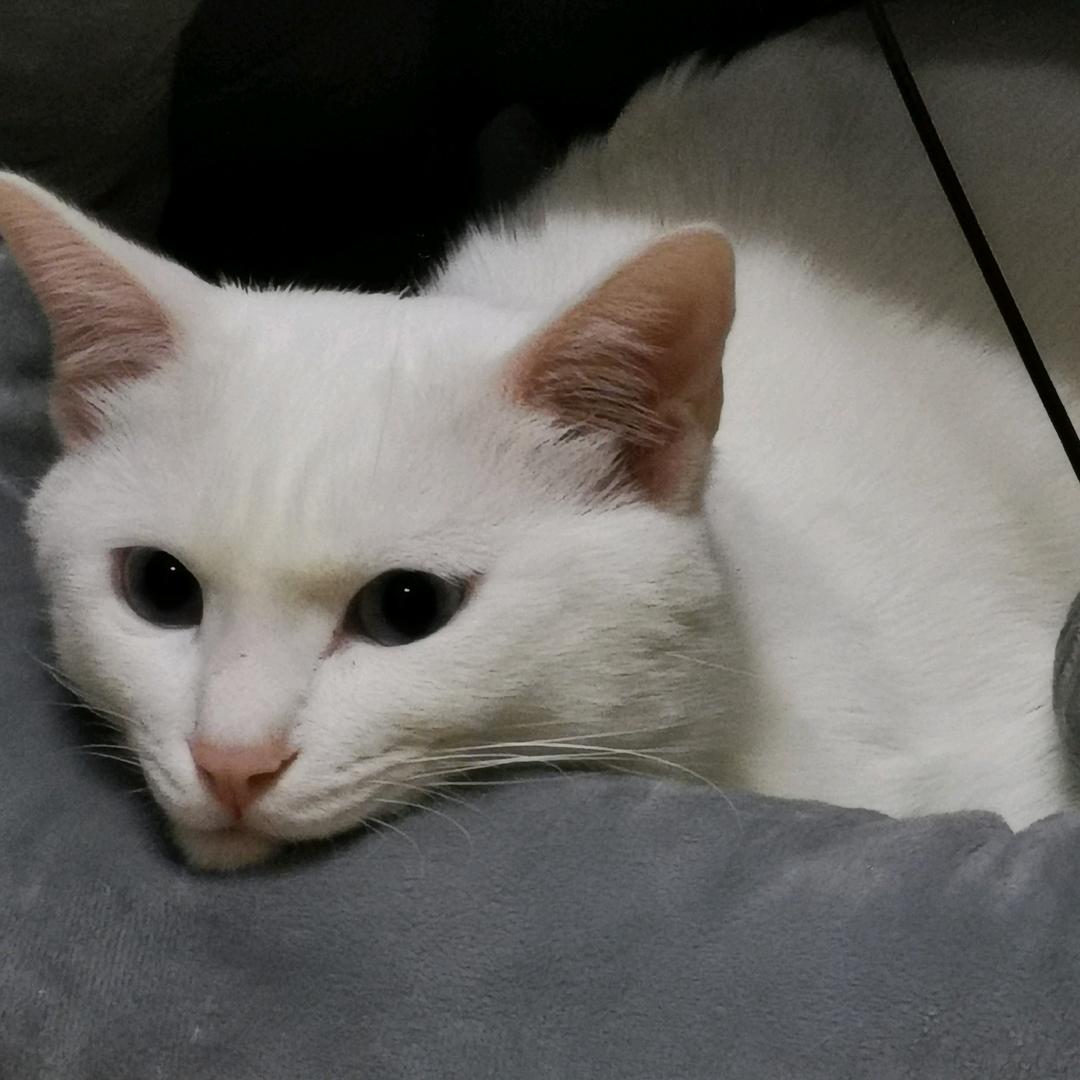 这里