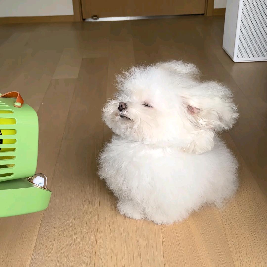 开心