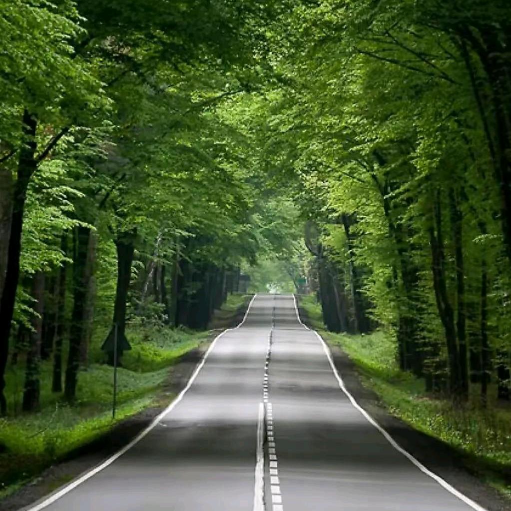 ✨诺贝尔一直讲