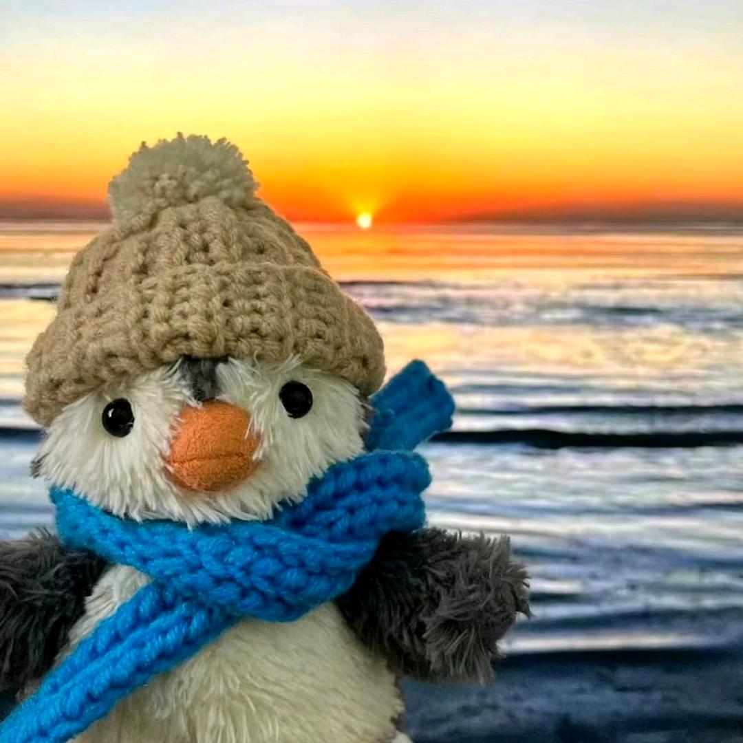 买手套的小企鹅🐧