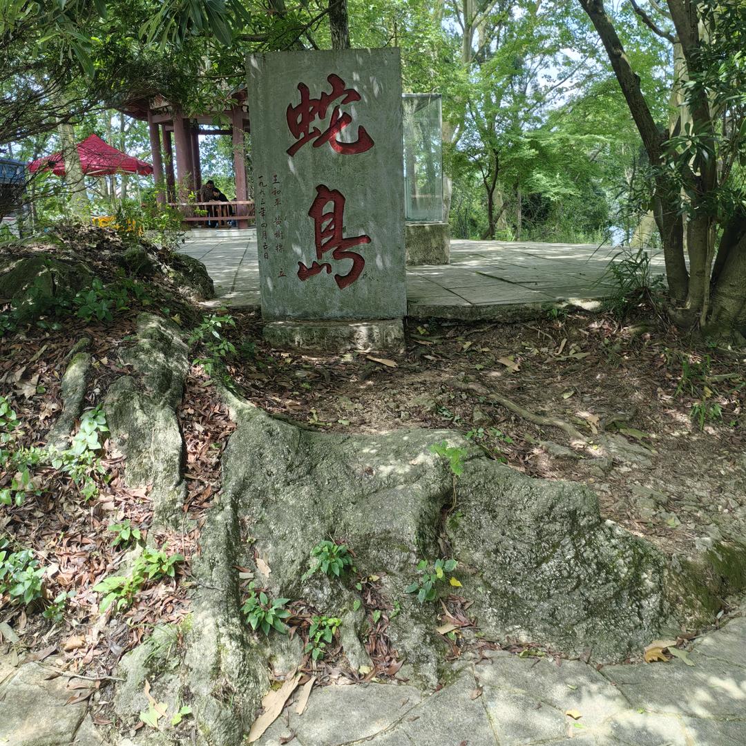 曾……